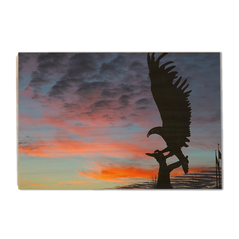 Southern Miss Golden Eagles - Lofty Sunset - College Wall Art #Canvas