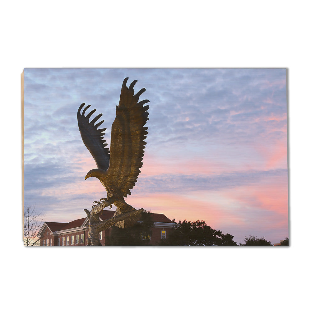Southern Miss Golden Eagles - Lofty - College Wall Art #Canvas