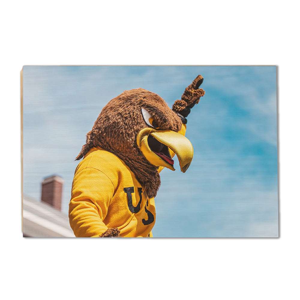 Southern Miss Golden Eagles - Seymour d’Campus - College Wall Art #Canvas