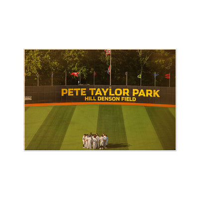 Southern Miss Golden Eagles - Pete Taylor Park Hill Denson Field - College Wall Art #Wood