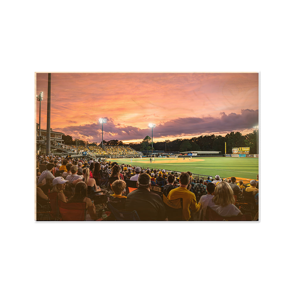 Southern Miss Golden Eagles - Tradition of Excellence Pete Taylor Field #Canvas