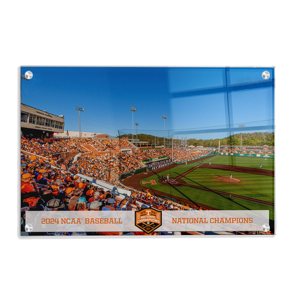 Tennessee Volunteers - Tennessee Baseball NCAA Baseball National Champions - College Wall Art #Canvas