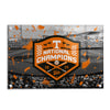 Tennessee Volunteers - Tennessee Vols Baseball National Champions - College Wall Art #Acrylic