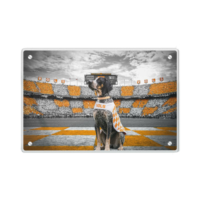 Tennessee Volunteers - Smokey's Watch - College Wall Art #Acrylic
