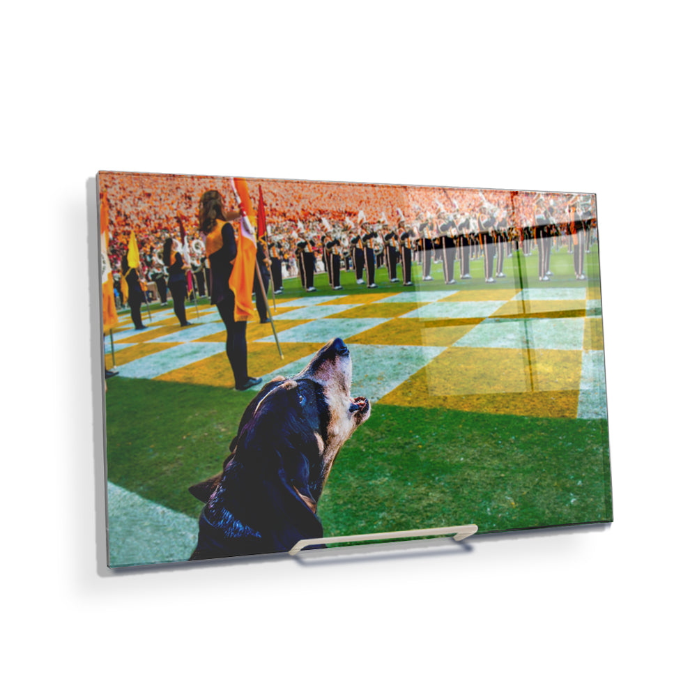 Tennessee Volunteers - Smokey X - College Wall Art #Canvas