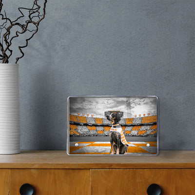 Tennessee Volunteers - Smokey's Watch - College Wall Art #Acrylic Mini