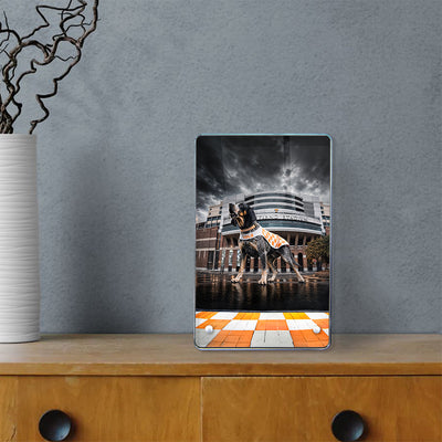 Tennessee Volunteers - Defend Rocky Top - College Wall Art #Acrylic Mini