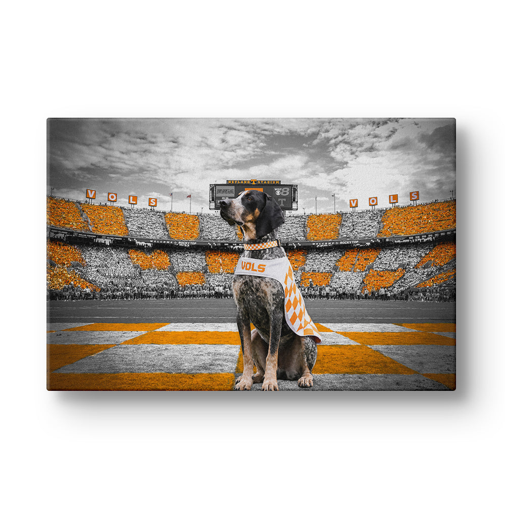 Tennessee Volunteers - Smokey's Watch - College Wall Art #Canvas