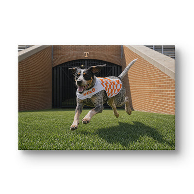 Tennessee Volunteers - Smokey XII - College Wall Art #Canvas