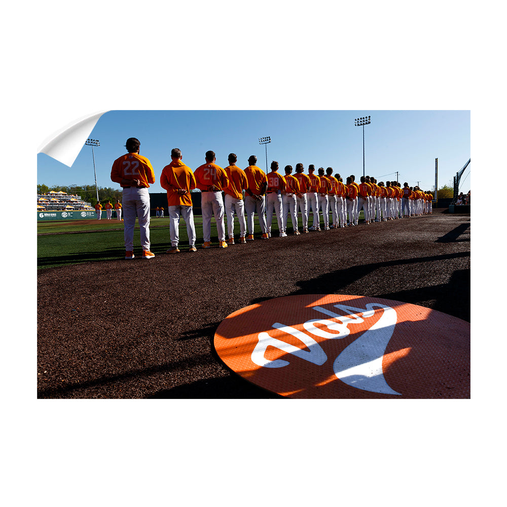 Tennessee Volunteers - Vols Baseball - College Wall Art #Canvas
