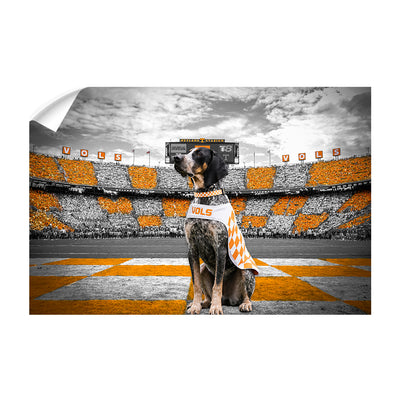 Tennessee Volunteers - Smokey's Watch - College Wall Art #Wall Decal
