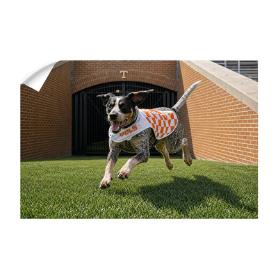 Tennessee Volunteers - Smokey XII - College Wall Art #Wall Decal