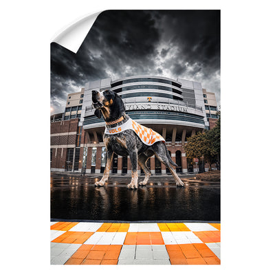 Tennessee Volunteers - Defend Rocky Top - College Wall Art #Wall Decal