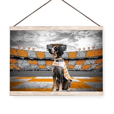 Tennessee Volunteers - Smokey's Watch - College Wall Art #Hanging Canvas