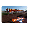 Tennessee Volunteers - Vols Baseball - College Wall Art #PVC