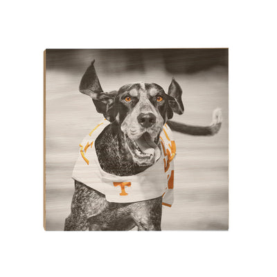 Tennessee Volunteers - Smokey TD - College Wall Art #Wood