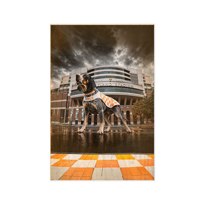 Tennessee Volunteers - Defend Rocky Top - College Wall Art #Wood