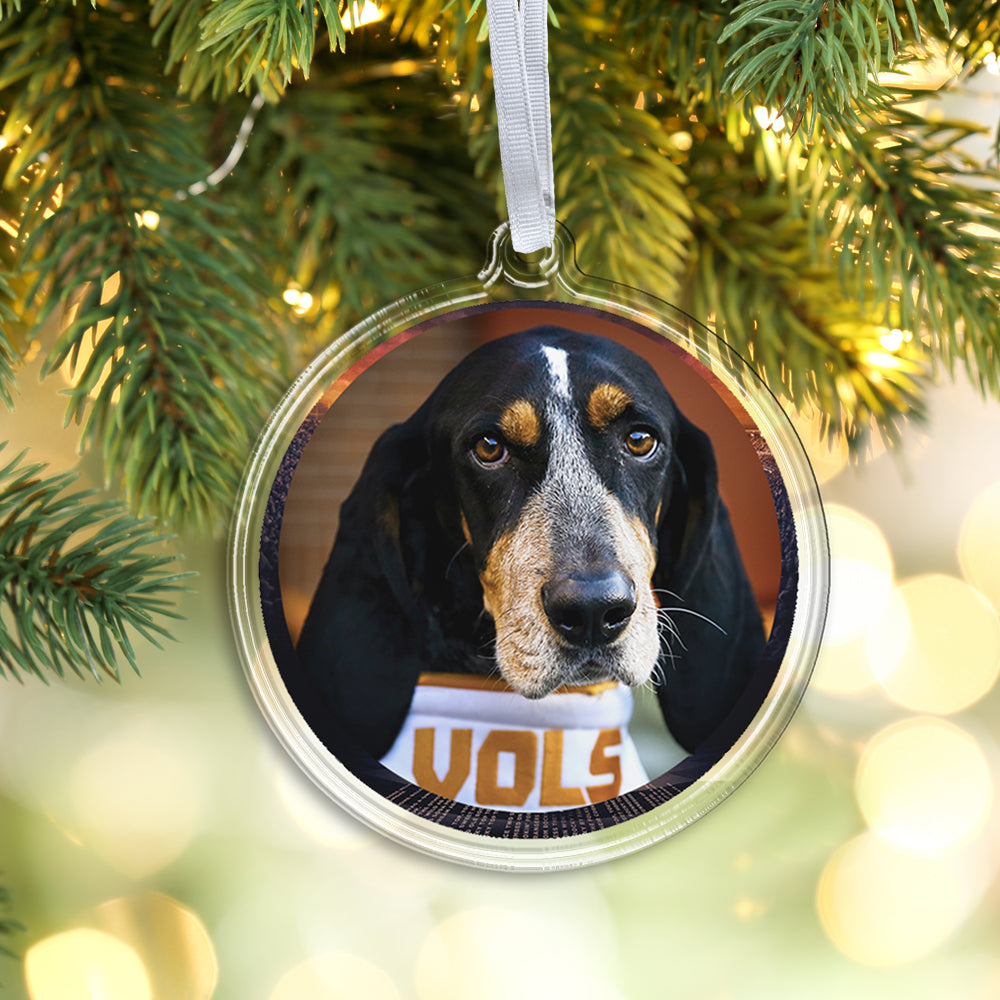 Tennessee Volunteers - Smokey Vols Ornament & Bag Tag