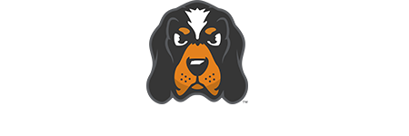 Tennessee Vols
