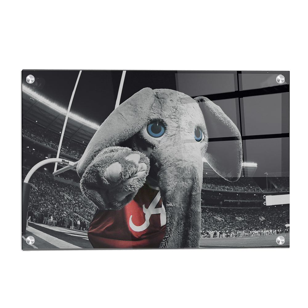 Alabama Crimson Tide - Big Al End Zone - College Wall Art #Canvas
