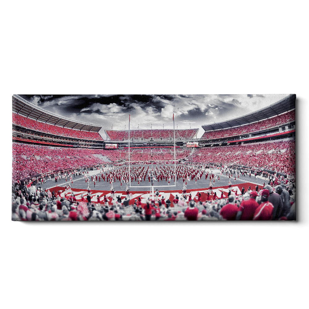 Alabama Crimson Tide - Bryant Denny Monochrome Pano - College Wall Art #Canvas