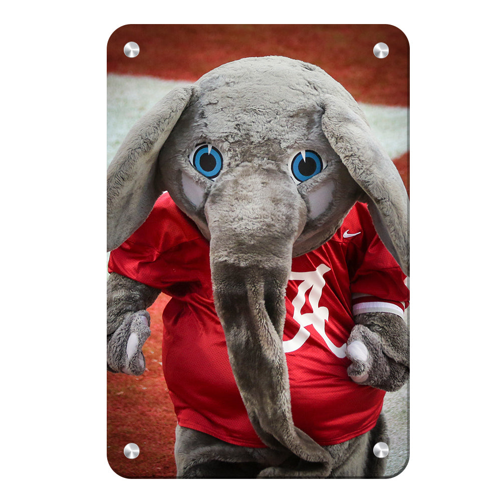 Alabama Crimson Tide - Big Al - College Wall Art #Canvas