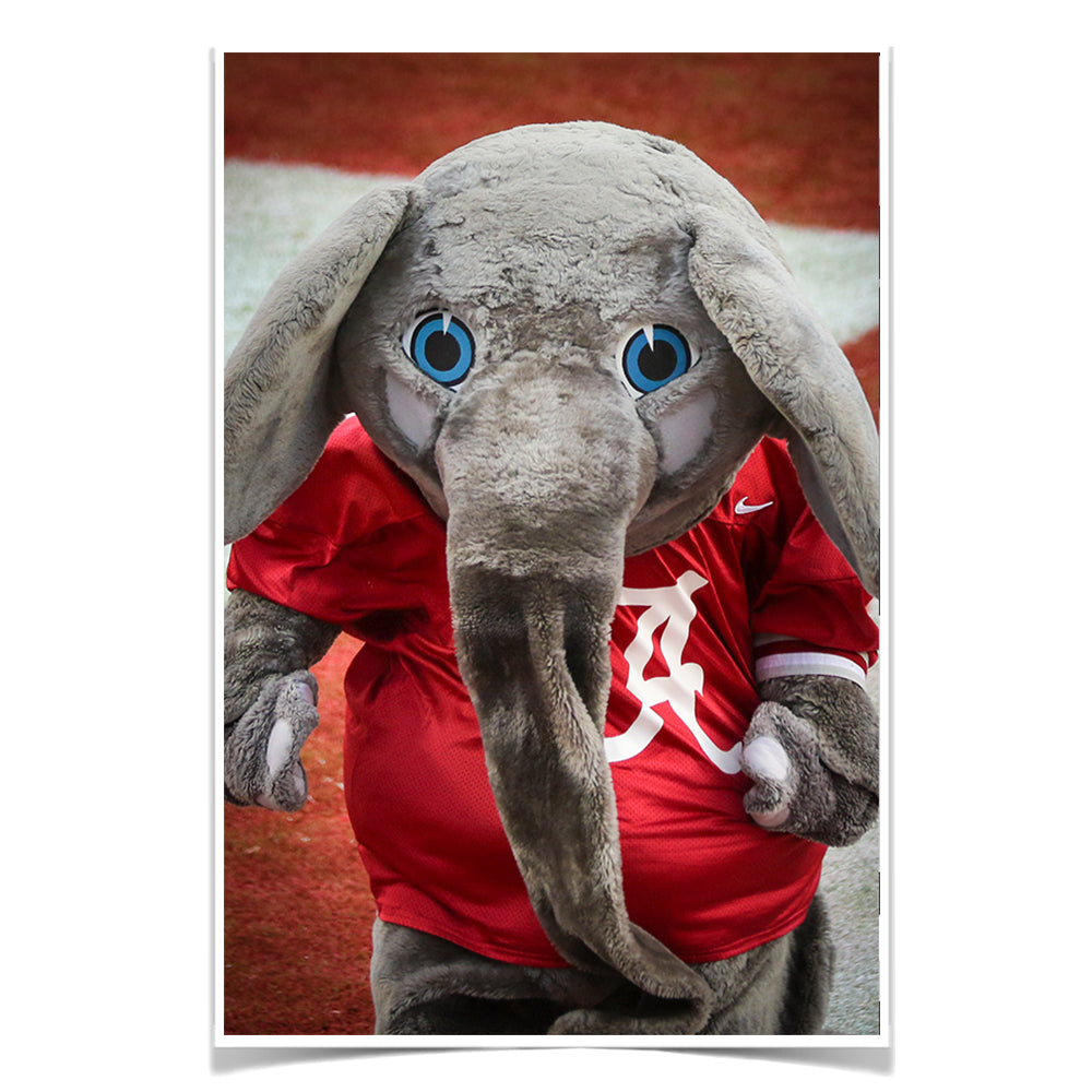 Alabama Crimson Tide - Big Al - College Wall Art #Canvas