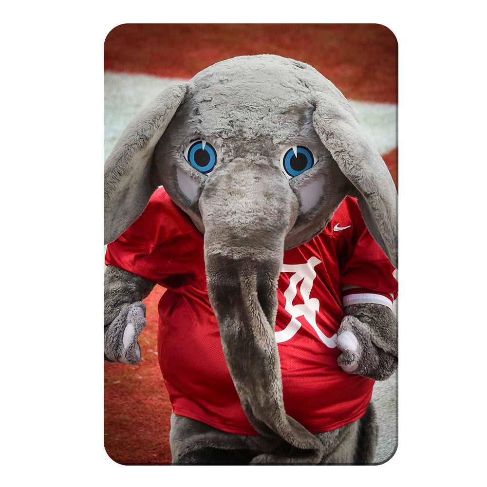 Alabama Crimson Tide - Big Al - College Wall Art #Canvas