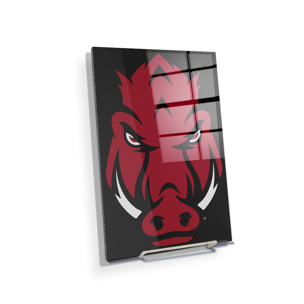 Arkansas Razorbacks - Razorback - College Wall Art #Canvas