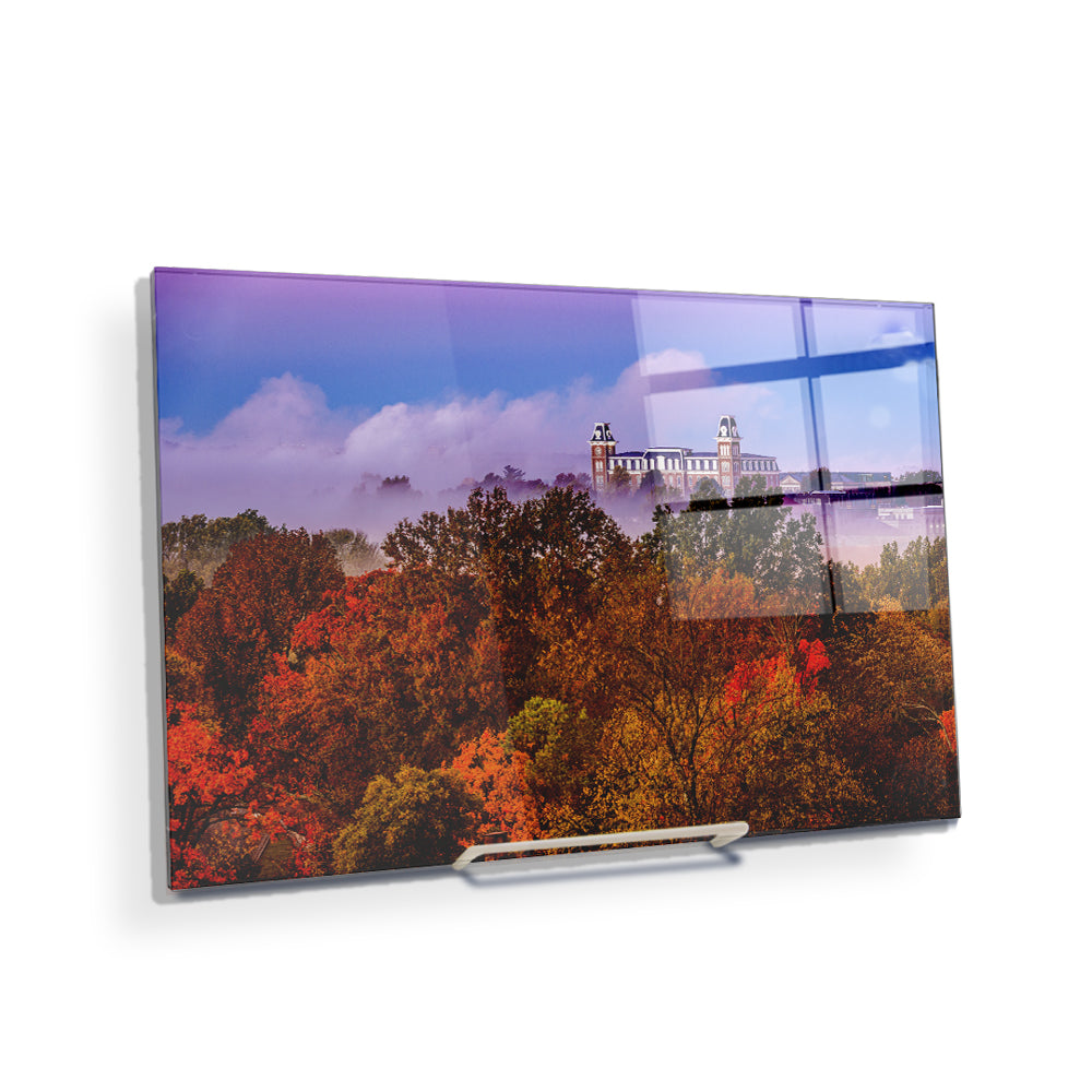 Arkansas Razorbacks - Foggy Foliage - College Wall Art #Canvas