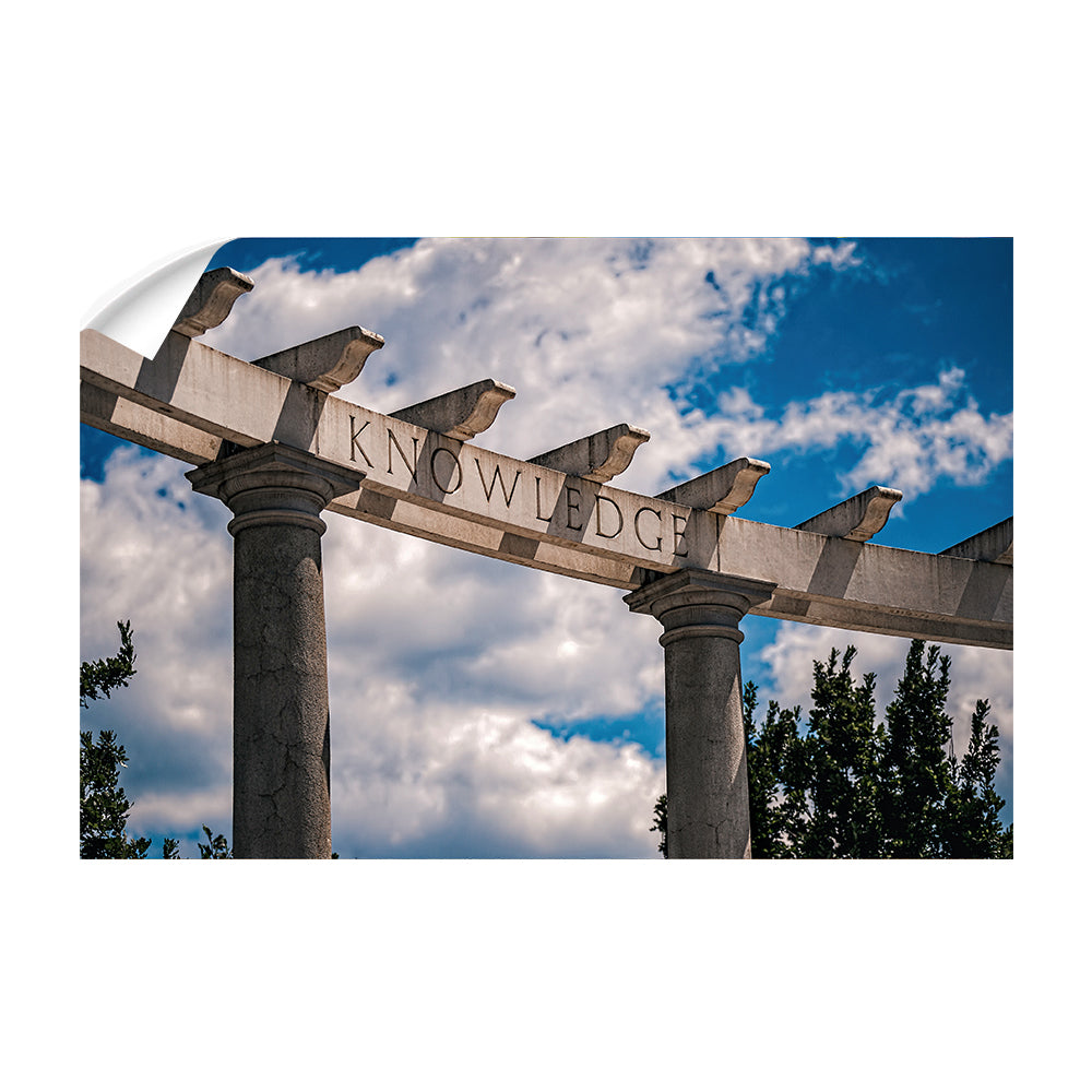 Arkansas Razorbacks - Greek Theater - College Wall Art #Canvas