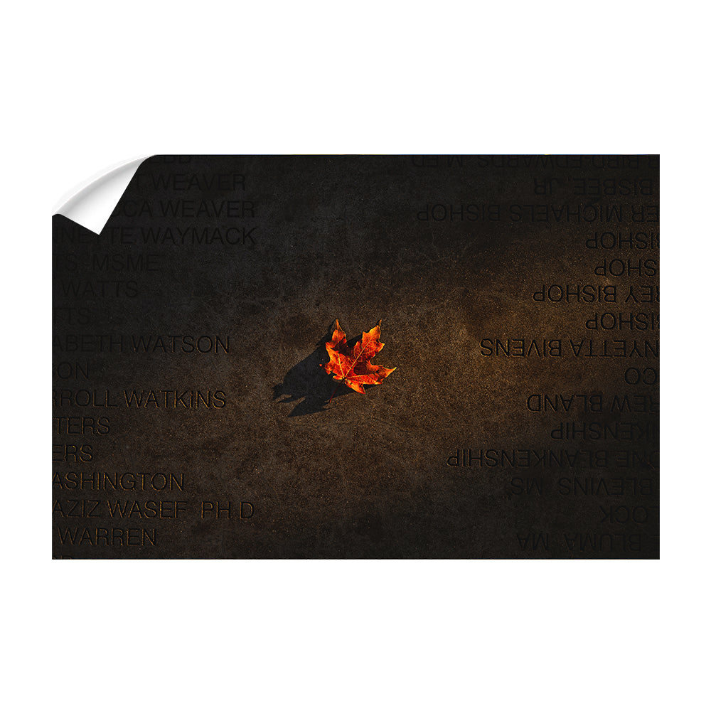 Arkansas Razorbacks - Senior Walk - College Wall Art #Canvas