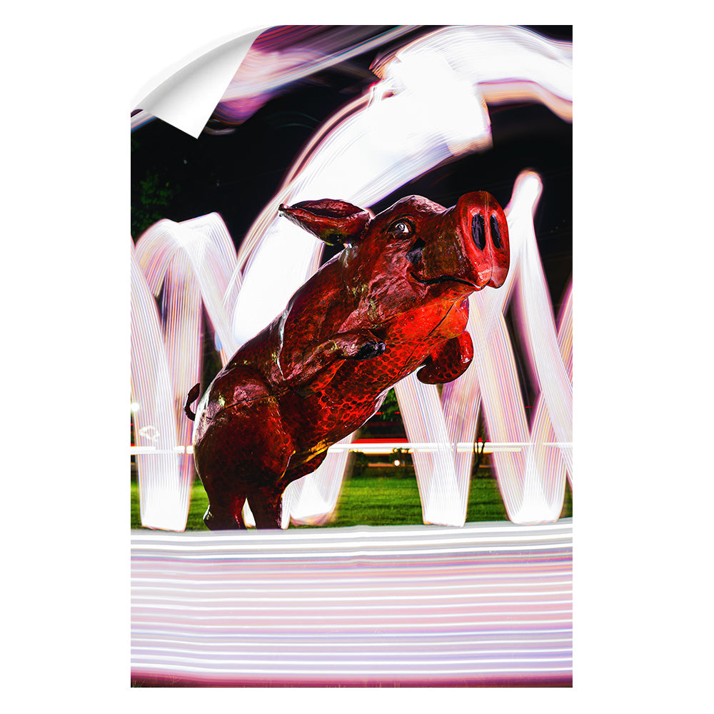 Arkansas Razorbacks - Fayetteville Hog - College Wall Art #Canvas