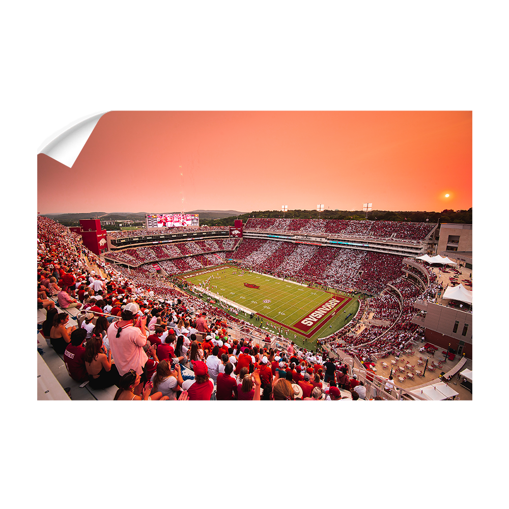Arkansas Razorbacks - Aerial Donald - College Wall Art #Canvas