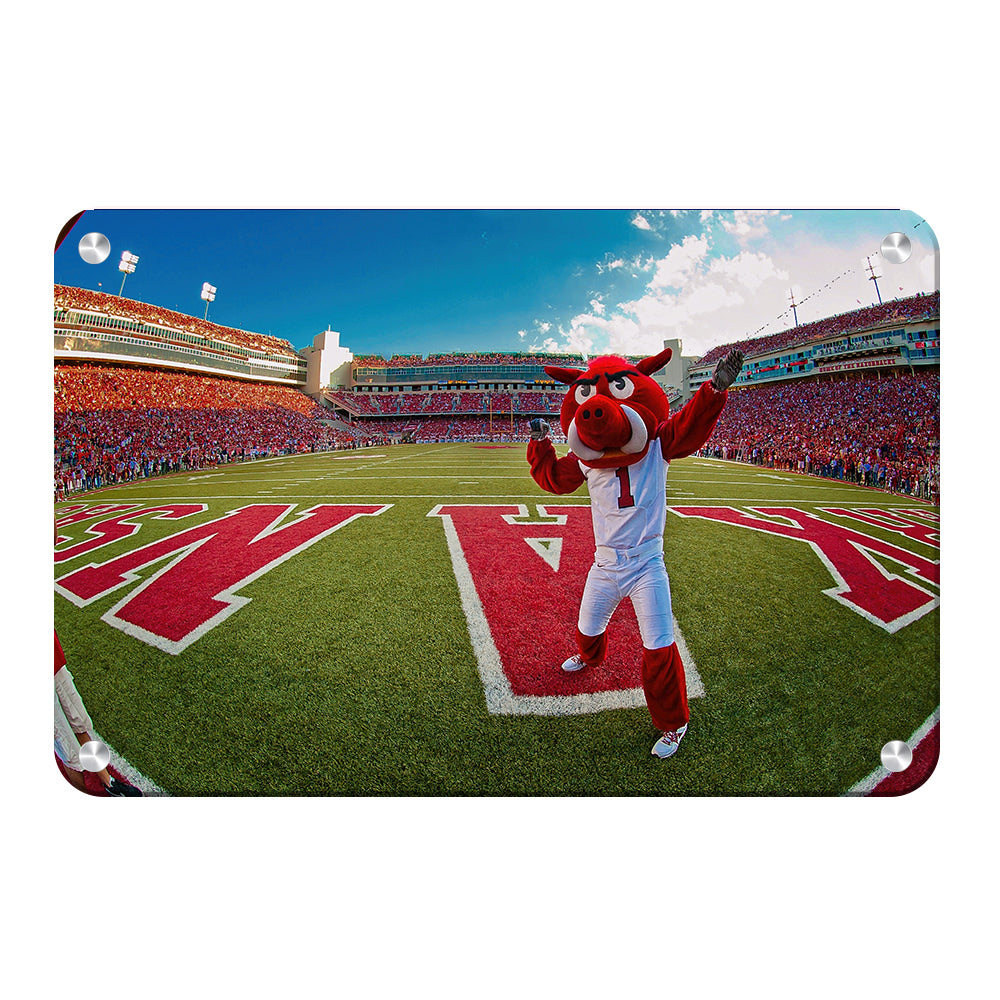 Arkansas Razorbacks - Big Red End Zone - College Wall Art #Canvas