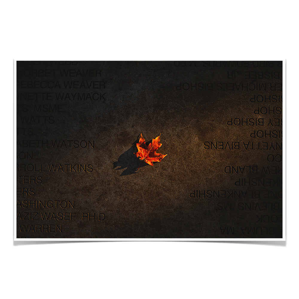 Arkansas Razorbacks - Senior Walk - College Wall Art #Canvas