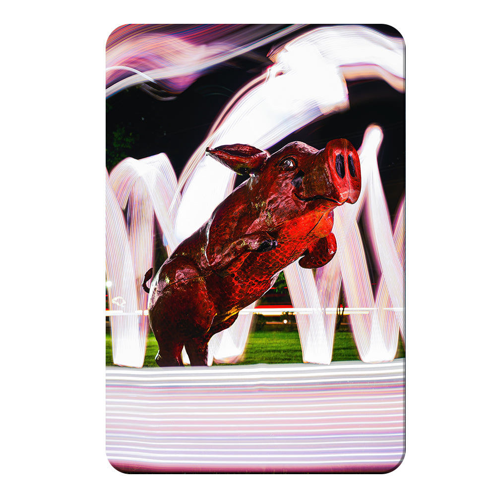Arkansas Razorbacks - Fayetteville Hog - College Wall Art #Canvas
