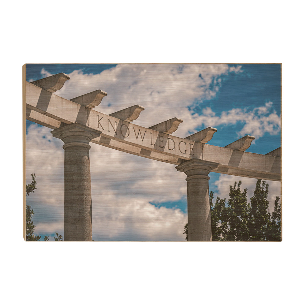 Arkansas Razorbacks - Greek Theater - College Wall Art #Canvas