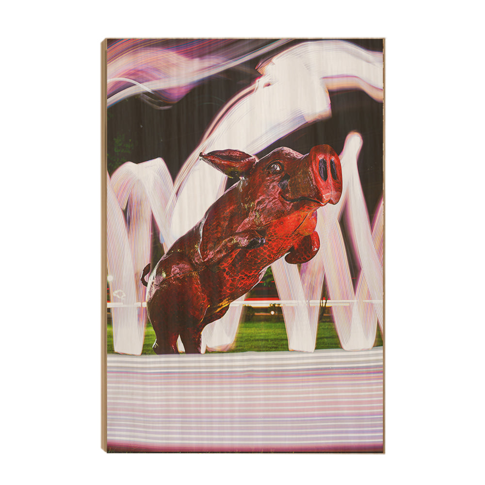 Arkansas Razorbacks - Fayetteville Hog - College Wall Art #Canvas