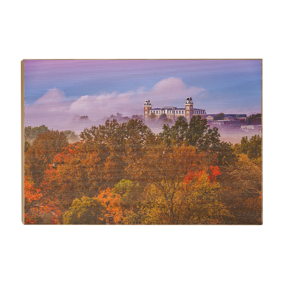 Arkansas Razorbacks - Foggy Foliage - College Wall Art #Canvas