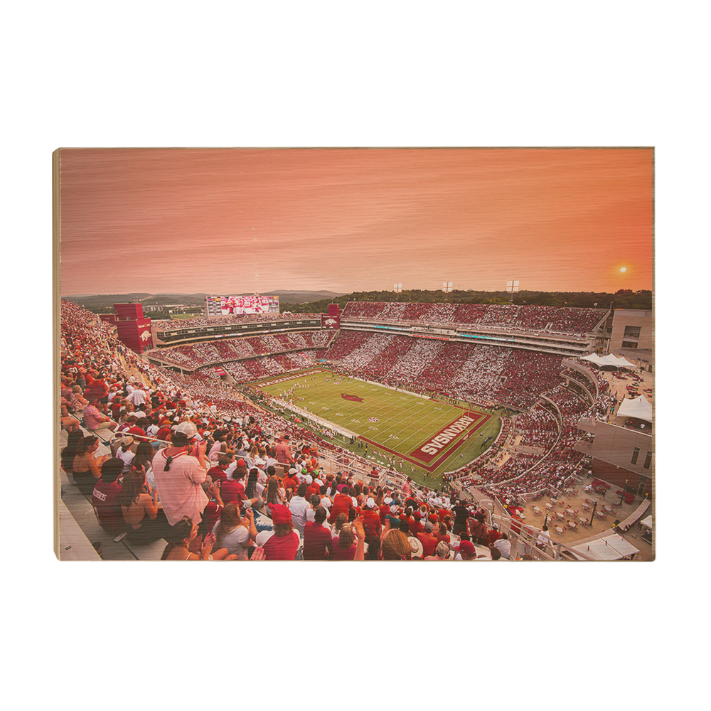 Arkansas Razorbacks - Aerial Donald - College Wall Art #Canvas