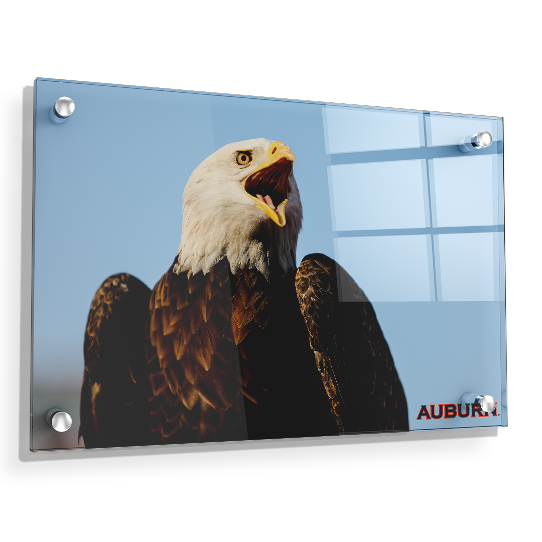 Auburn Tigers - War Eagle - College Wall Art#Canvas