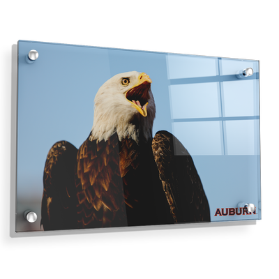 Auburn Tigers - War Eagle - College Wall Art#Acrylic