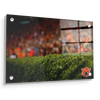 Auburn Tigers - The Hedges - College Wall Art#Acrylic