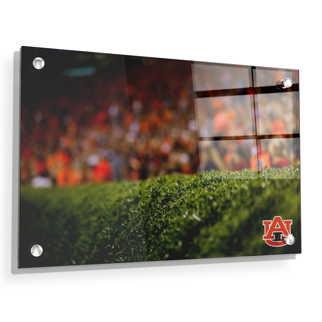 Auburn Tigers - The Hedges - College Wall Art#Canvas