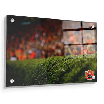 Auburn Tigers - The Hedges - College Wall Art#Acrylic