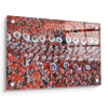 Auburn Tigers - Auburn University Marching Band - College Wall Art #Acrylic