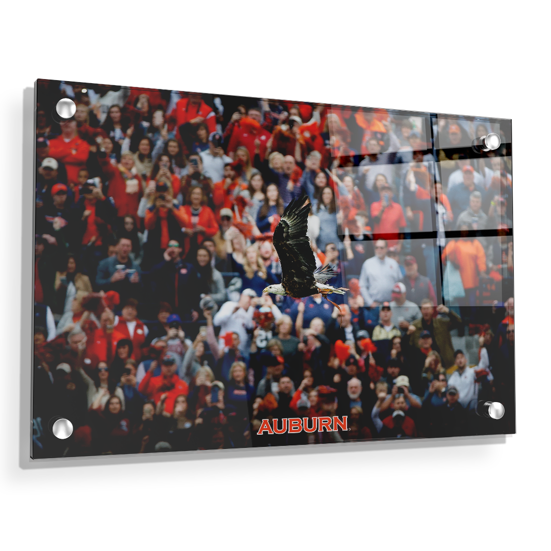 Auburn Tigers - War Eagle Soars - College Wall Art#Canvas