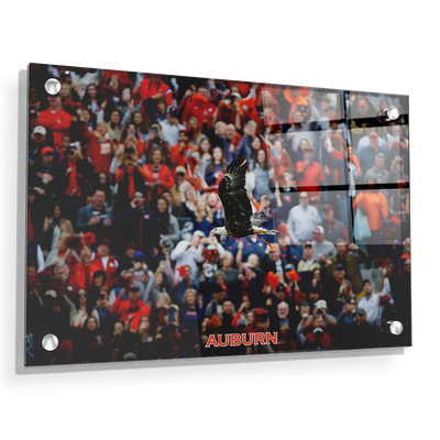 Auburn Tigers - War Eagle Soars - College Wall Art#Acrylic