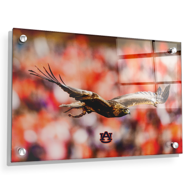 Auburn Tigers - War Eagle Flight - College Wall Art#Acrylic